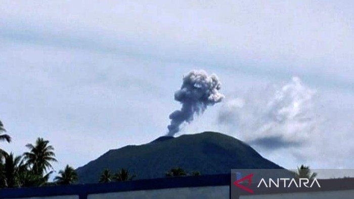 Gunung Ibu menyemburkan abu vulkanik setinggi hingga 600 meter dari atas puncak gunung, Jumat (26/12/2025).