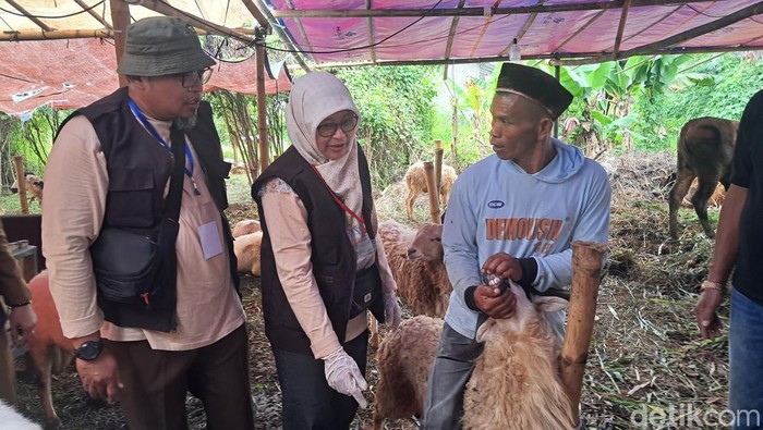 Hewan Kurban di Serang