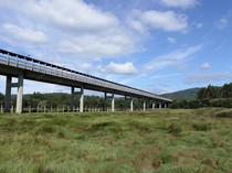 Jembatan Tumbang Nusa, Penggerak Ekonomi Kalimantan Tengah