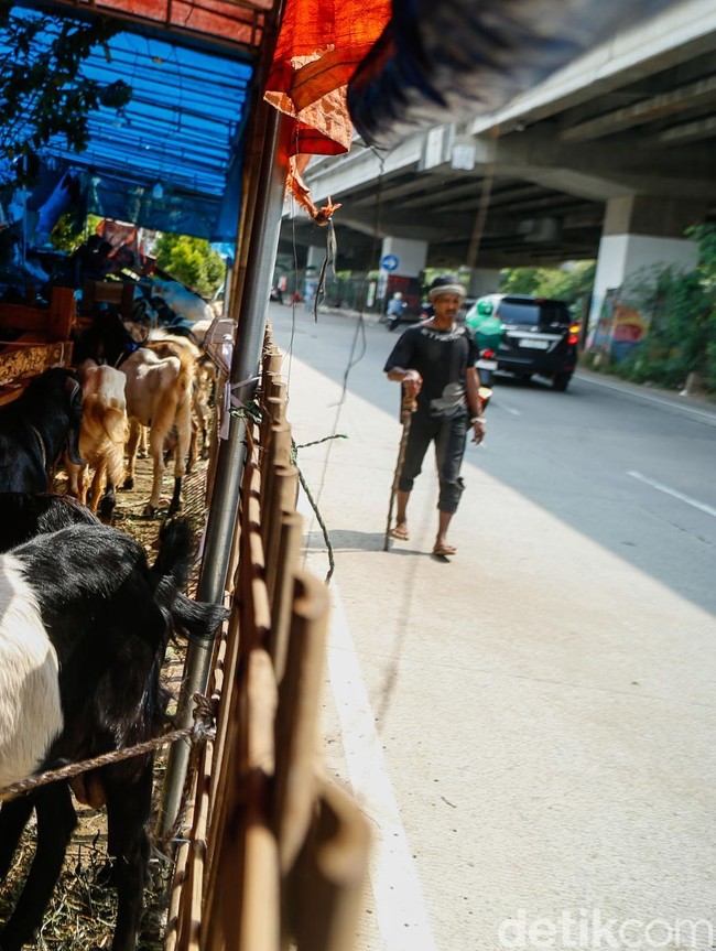 Pemprov DKI Larang Pedagang Jual Hewan Qurban di Trotoar