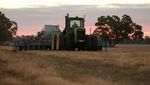 Petani Australia Kurangi Tanam Gandum Akibat Biaya Naik