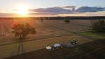 Petani Australia Kurangi Tanam Gandum Akibat Biaya Naik