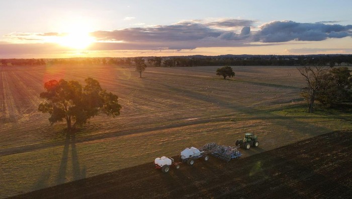 Petani Australia Kurangi Tanam Gandum Akibat Biaya Naik