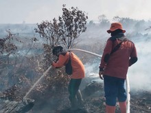 Antisipasi Karhutla, BPBD Riau Patroli Darat-Udara di Titik Rawan