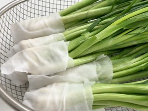 Daun Bawang Cepat Layu? Coba 3 Cara Ini Biar Tahan Sebulan