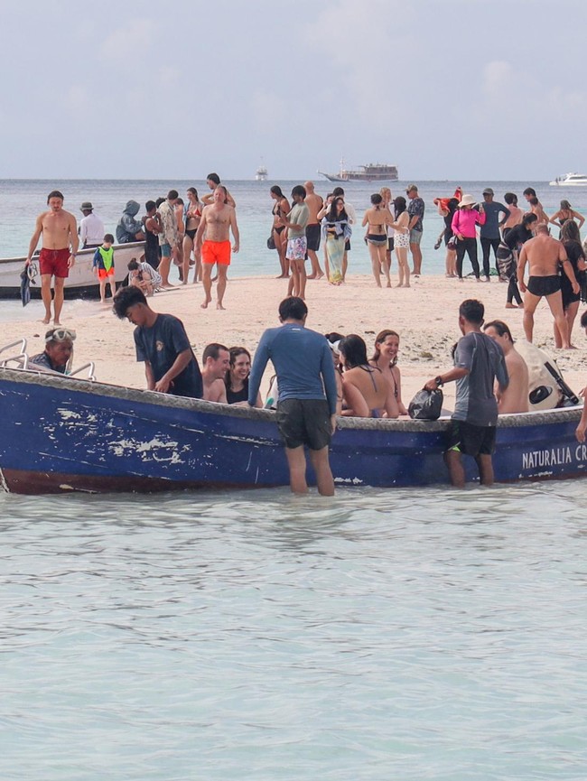 Wisata Bahari TN Komodo Kembali Dibuka, Turis Nikmati Indahnya Taka Makassar