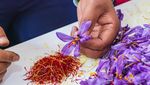 10 Makanan Termahal Dunia di 2026, Ada Kopi dari Indonesia!