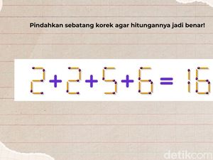 Tes Otak dan Matematika Cukup Pakai Korek Api, Belum Ada yang Bisa Jawab