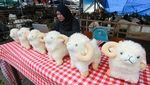 Beli Hewan Kurban Gratis Boneka Domba
