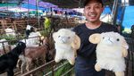 Beli Hewan Kurban Gratis Boneka Domba