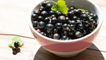 Cocok buat Diet! Ini 9 Buah dengan Kandungan Gula Paling Rendah