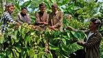 Doa dan Aroma Kopi Menyatu dalam Tradisi Nublek Kopi di Temanggung
