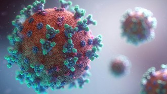 Suspek Ebola Melonjak Jadi 543 Kasus, 136 Orang Meninggal Tersebar di Wilayah Ini