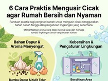 Infografis: 6 Cara Ampuh Usir Cicak dari Rumah