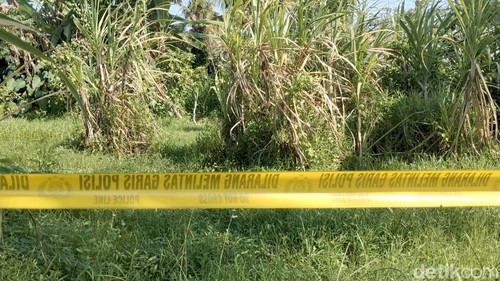 Lokasi lahan kosong tempat jasad DAD dikubur di Banjar Cabe, Desa Darmasaba, Badung, Rabu (20/5/2026).