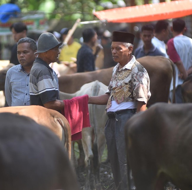 Negosiasi di Balik Kain, Tradisi Marosok Ramai Jelang Idul Adha
