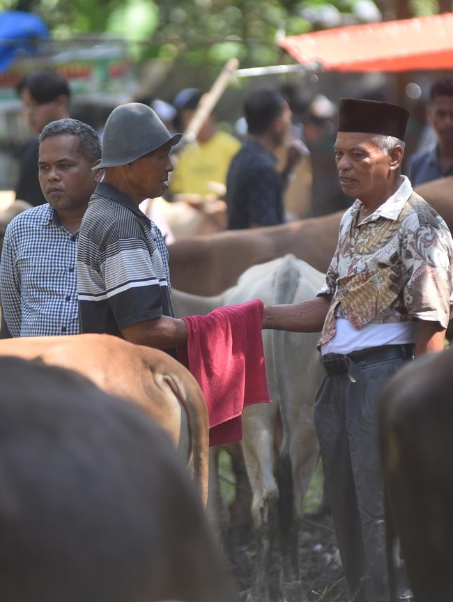 Negosiasi di Balik Kain, Tradisi Marosok Ramai Jelang Idul Adha