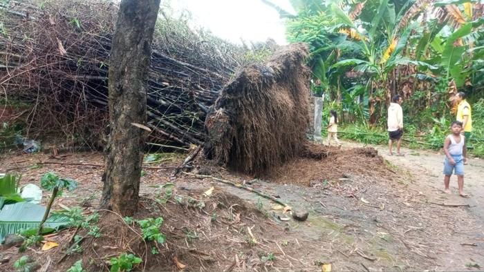Pohon bambu di Kecamatan Pakong, Pamekasan tumbang diterjang angin kencang