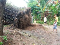 Angin Kencang di Pamekasan Rusak Bangunan dan Tumbangkan Pohon