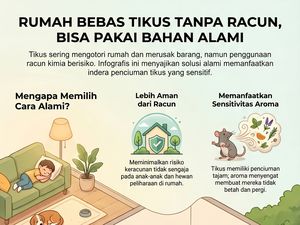 Rumah Bebas Tikus Tanpa Pakai Racun, Bisa Coba Bahan Alami Ini