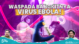 Virus Hanta dan Ebola jadi Perhatian Dunia