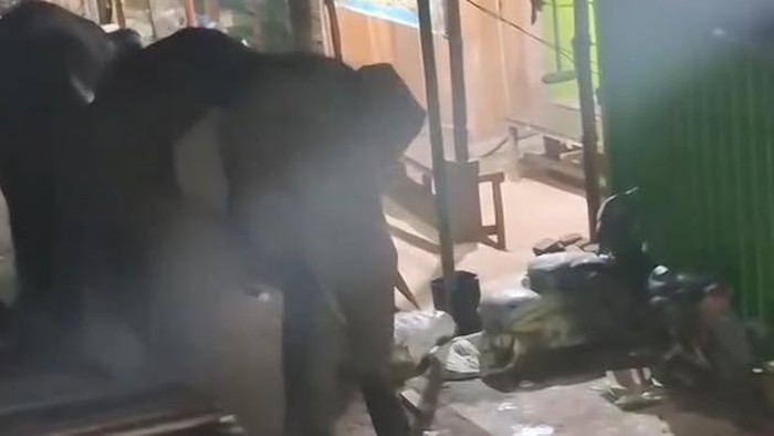 Dua ekor gajah liar masuk pasar di OKI