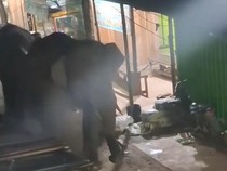 Heboh Dua Gajah Liar Masuk Pasar di OKI, Ini Kata BKSDA Sumsel
