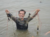 Bersih-bersih Situ Citatah Bogor, 220 Kg Ikan Sapu-sapu Ditangkap