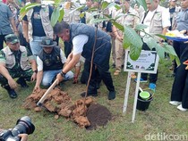 Hutan Sumsel Susut, Herman Deru Ajak Tanam Pohon-Jangan Ekspor Asap