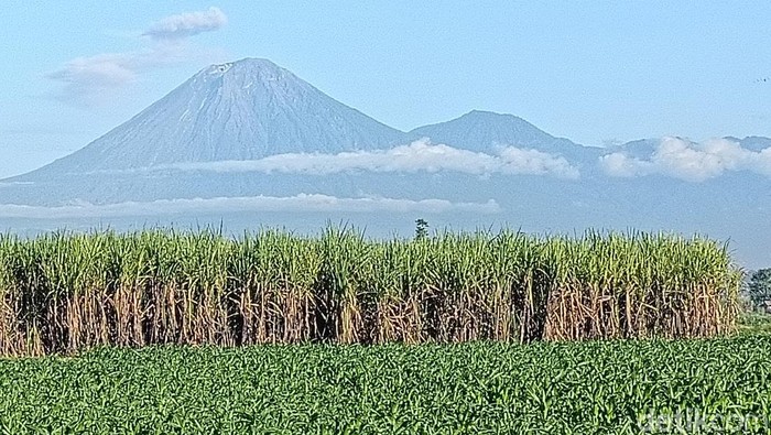 Gunung Semeru erupsi