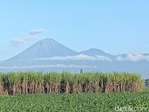 Gunung Semeru 2 Kali Luncurkan Lava Pijar Sejauh 2 Kilometer