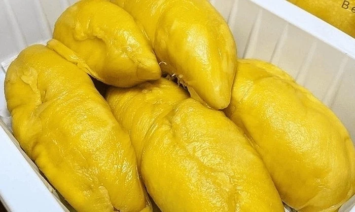 Musang King