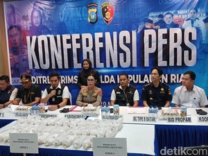 Video: Polisi Gagalkan Penyelundupan 100 Ribu Benih Lobster via Batam