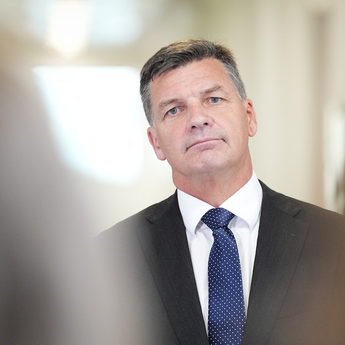 Pemimpin oposisi Australia Angus Taylor mengatakan pemegang visa harus menjadi warga negara untuk mengakses layanan sosial. (ABC News: Matt Roberts)