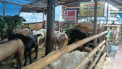Sejumlah kandang kambing milik pemjual hewan kurban di dekat Kampung Jawa, Denpasar Utara, Rabu (21/5/2026). Hani Sofia Muthmainnah/detikBali