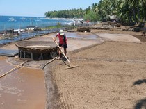 Punya Daya Tarik, Desa Les di Bali Utara Tawarkan Keindahan Alam-Budaya