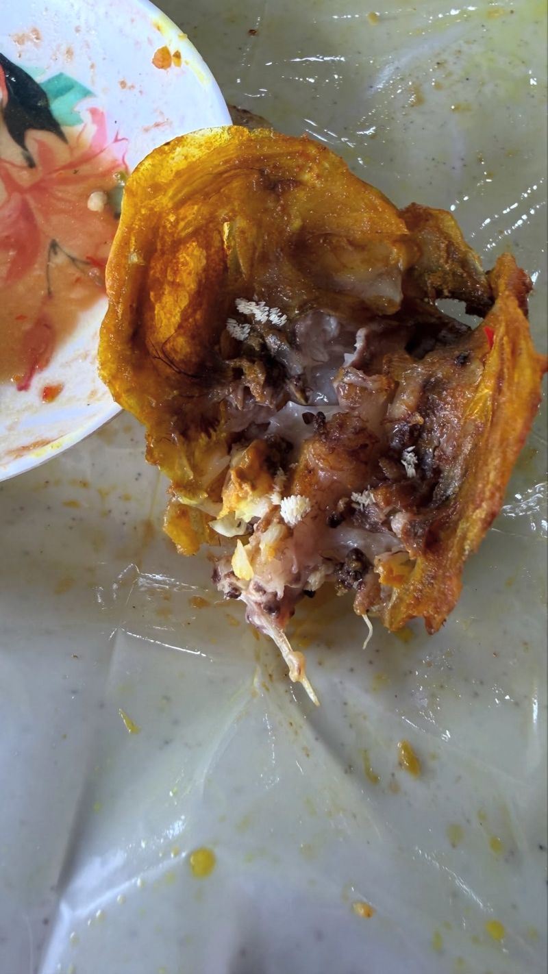 Sudah Selesai Makan, Wanita Ini Baru Sadar Ada 'Telur Lalat' di Kepala Ikan Sudah Selesai Makan, Wanita Ini Baru Sadar Ada 'Telur Lalat' di Kepala Ikan