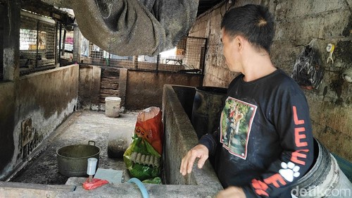 Widanta saat menunjukkan kondisi kandang babi miliknya yang sudah kosong, Kamis (21/5/2026).