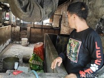 Ancaman ASF, Peternak Badung Dilarang Beri Babi Pakan Sisa Hotel