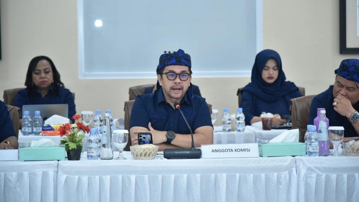 Anggota Komisi XIII DPR RI Marinus Gea