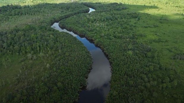 Bentang alam Kalimantan Tengah. (Pemprov Kalteng) Bentang alam Kalimantan Tengah. (Pemprov Kalteng)