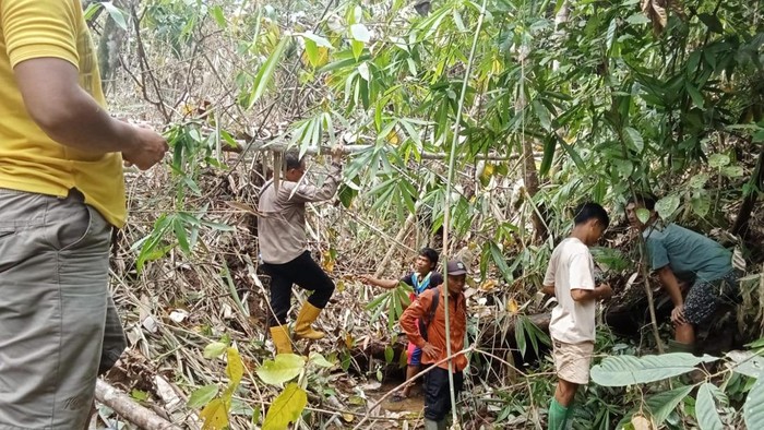 BKSDA melakukan mengecek lokasi penyerangan Harimau / Ternak warga di Muratara mati dimangsa harimau