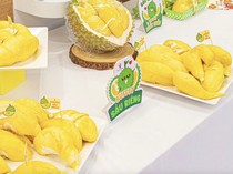 Buffet 1 Ton Durian Ini Diserbu Pengunjung, Bayarnya Cuma Rp135 Ribu