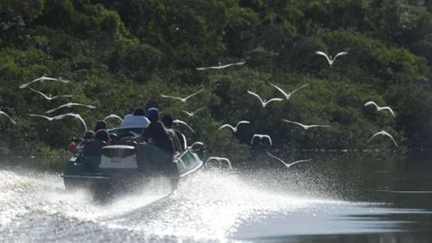 Burung-burung berterbangan di sekitar kawasan Danau Sentarum. Burung-burung berterbangan di sekitar kawasan Danau Sentarum.