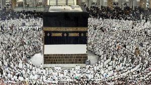 Video Daging Dam Jemaah Haji RI Dikirim ke Palestina