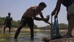 Danau Sanjay Mengering, Ikan Mati Bermunculan di New Delhi