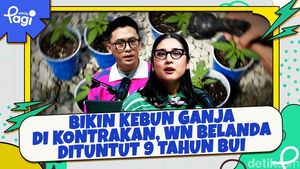 Video: Bikin Kebun Ganja di Kontrakan, WN Belanda Dituntut 9 Tahun Bui