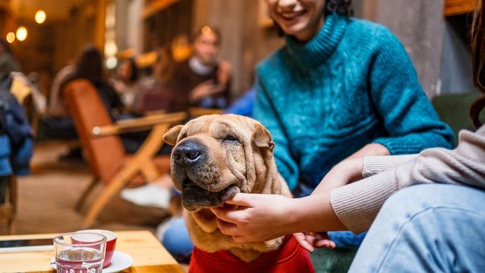 Restoran pet friendly