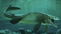 Ilmuwan Temukan Tylosaurus Rex, Monster Laut Sepanjang 13 Meter