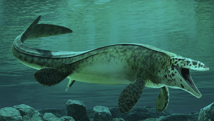 T rex lautan